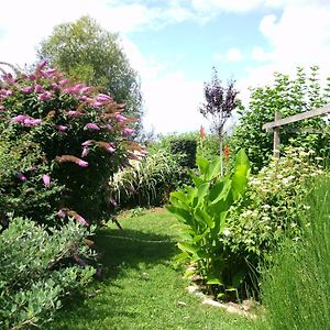 Le Bord De L'Eau Bed and Breakfast Sainte-Terre Exterior photo