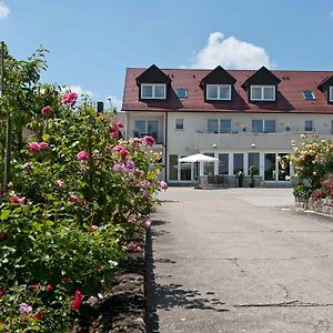 Felshof - Weingut & Gaestehaus Ξενοδοχείο Sommerhausen Exterior photo