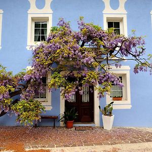 The Blue House Ξενοδοχείο Tolmin Exterior photo