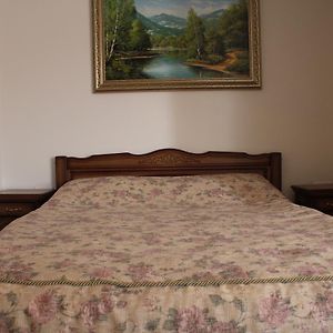 Gostyniy Dvir Synevir Ξενοδοχείο Synevyr Room photo