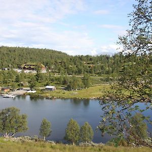 Lemonsjo Fjellstue Og Hyttegrend Ξενοδοχείο Randsverk Exterior photo