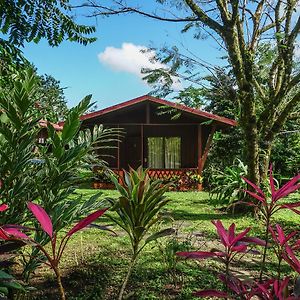 Hotel Faro Arenal La Fortuna Exterior photo