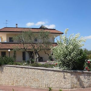 Villa Murgese Νότσι Exterior photo