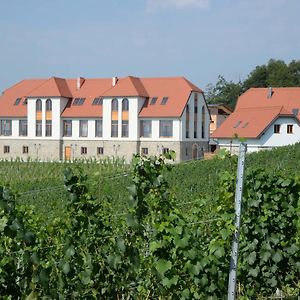 Weingut Taggenbrunn Ξενοδοχείο Sankt Veit an der Glan Exterior photo