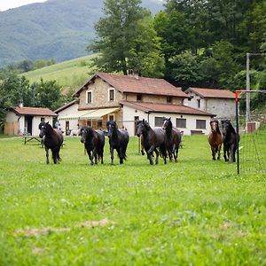 Agriturismo Carovane Βίλα Compiano Exterior photo