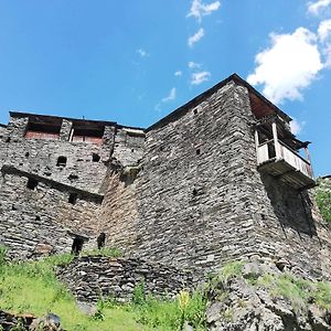 "Front Castle" Ξενοδοχείο Shatili Exterior photo