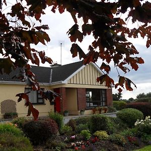 Hillcrest Country Home Adare Exterior photo