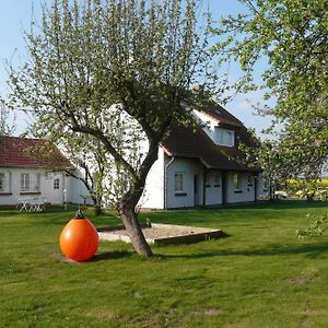 Pension Schwalbenhof Ξενοδοχείο Klausdorf  Exterior photo