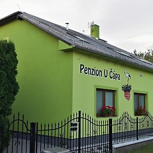 Penzion U Capa Pribor Ξενοδοχείο Exterior photo