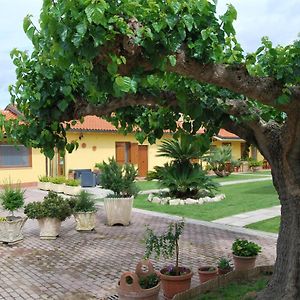 Le Terre Di Bac Bed and Breakfast Borgo Montenero Exterior photo