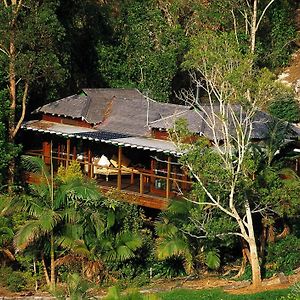 Wollumbin Palms Rainforest Retreat Βίλα Uki Exterior photo