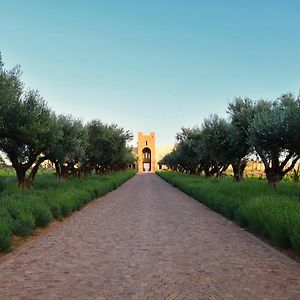 Chateau Roslane Ξενοδοχείο El Hajeb Exterior photo