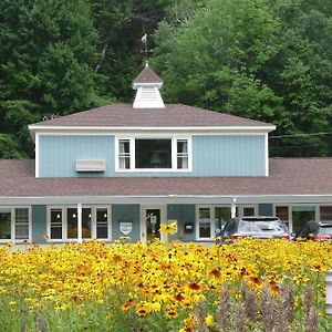 The Little Lion Μοτέλ Great Barrington Exterior photo