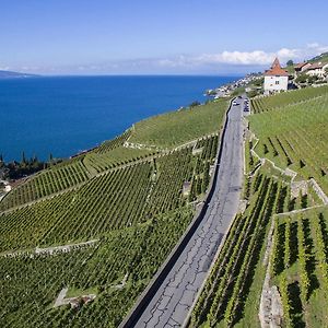 Domaine Du Burignon Ξενοδοχείο Saint-Saphorin Exterior photo