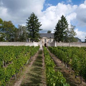 Chateau De La Platerye Ξενοδοχείο Restigné Exterior photo