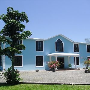 Tamarind Great House Ξενοδοχείο Oracabessa Exterior photo