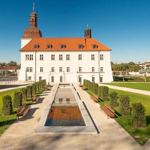 Chateau Clara Futura Ξενοδοχείο Dolni Brezany Exterior photo