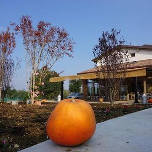 Agriturismo Campogrande Βίλα Carpaneto Piacentino Exterior photo