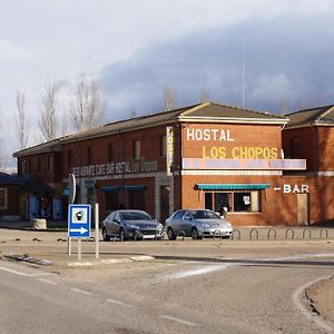 Hostal Los Chopos Ξενοδοχείο Osorno Exterior photo