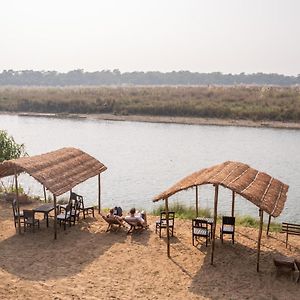 Jungle Wildlife Camp Ξενοδοχείο Sauraha Exterior photo