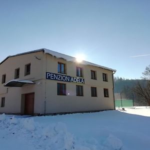 Penzion Adela Ξενοδοχείο Rožnov pod Radhoštěm Exterior photo