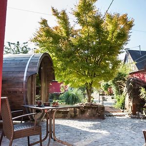 Auberge Au Boeuf Ξενοδοχείο Sessenheim Exterior photo