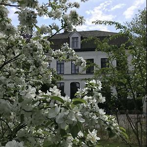 Pastorie Caeneghem Bed and Breakfast Kanegem Exterior photo