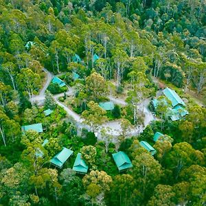 Lemonthyme Wilderness Retreat Ξενοδοχείο Moina Exterior photo