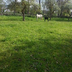 El Cajigal De Quintana ξενώνας Espinosa de los Monteros Exterior photo