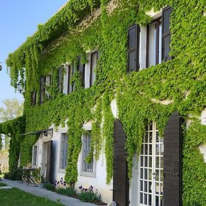 Agriturismo Tra Le Vigne ξενώνας Buttrio Exterior photo