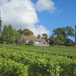 Domaine Beauregard Ξενοδοχείο Rolle Exterior photo