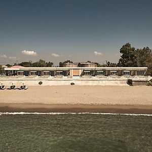 Dexamenes Seaside Hotel Κουρούτα Exterior photo