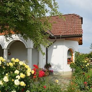 Pension Restaurant Rosenberg Ξενοδοχείο Jennersdorf Exterior photo