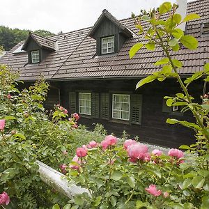 Das Altsteirische Landhaus - La Maison De Pronegg - Feriendomizil Im Biosphaerenpark Wienerwald Διαμέρισμα Pressbaum Room photo