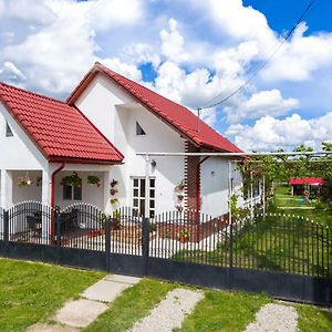 Casa De Vacanta Marya Ξενοδοχείο Baia de Fier Exterior photo