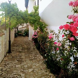 Bed & Breakfast Josiph Διαμέρισμα Μπεράτ Exterior photo