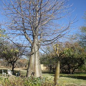 Mariepskop View Caravan Park Ξενοδοχείο Hoedspruit Exterior photo