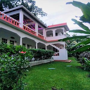 Polish Princess Guest House Πορτ Αντόνιο Exterior photo