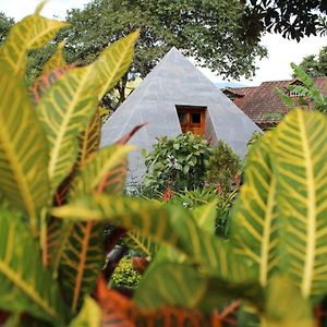 Hosteria Paraiso Ξενοδοχείο Vilcabamba Exterior photo