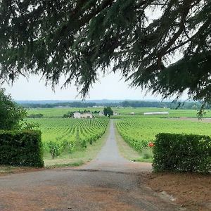 A L'Ombre De La Treille -Proche Saint-Emilion Bed and Breakfast Exterior photo