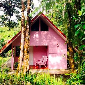 Cabanas Las Orquideas Zapotal  Exterior photo