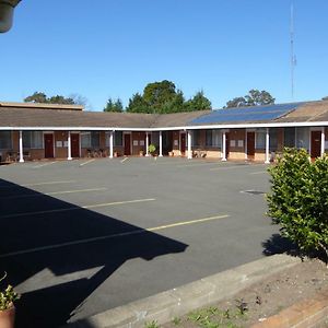 Windmill Motel Γουολόνγκογκ Exterior photo