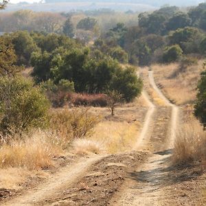 Donkerhoek Country Living Διαμέρισμα Avondzon Exterior photo