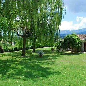 Agriturismo La Casinarosa Ξενοδοχείο Loreto Aprutino Exterior photo