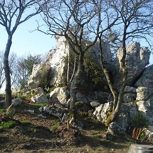 Le Rocher Du Samoyede Ξενοδοχείο Dirinon Exterior photo