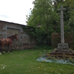 Haras De La Croix D'Argent Bed and Breakfast Saint-Sauveur-de-Carrouges Exterior photo