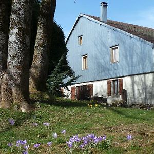 La Fritillaire Bed and Breakfast La Montagne  Exterior photo