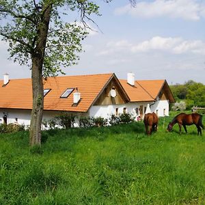 Wundervoll Eben - Chalets & Plaetze Voller Wunder - Notschkerl & Feinis Waasen Exterior photo