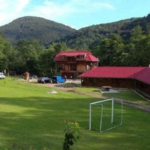 Pensiunea La Busu -Bigar Ξενοδοχείο Bozovici Exterior photo