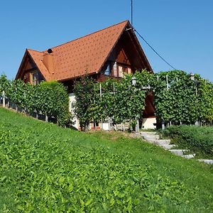 Vineyard Cottage Berus Dolenja Vas pri Mirni Peči Exterior photo